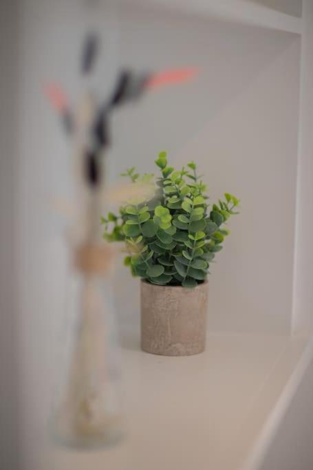 Perfect Location 4Bed 2 Bath Spacious Apartment Londen Buitenkant foto